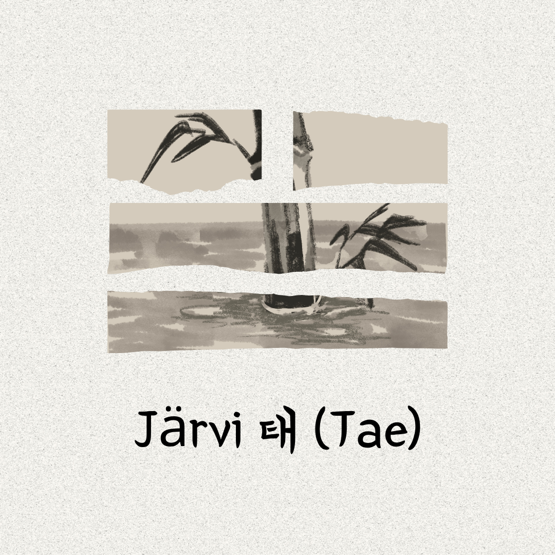 Poomse Taeguk 2 태극 이장 ☱ Tae Järvi 태