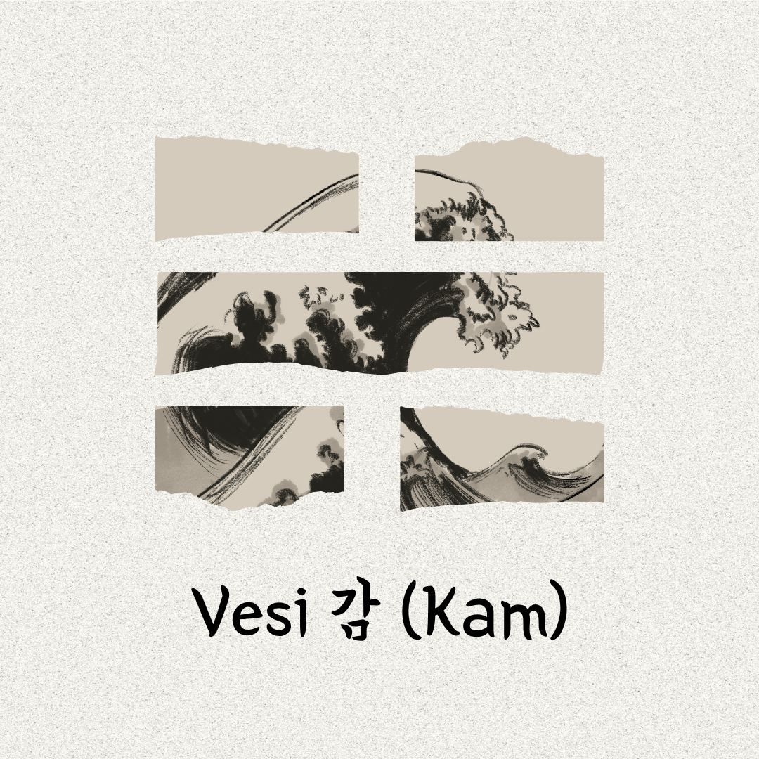 Poomse Taeguk 6 태극 육장 Gam Vesi ☵ 